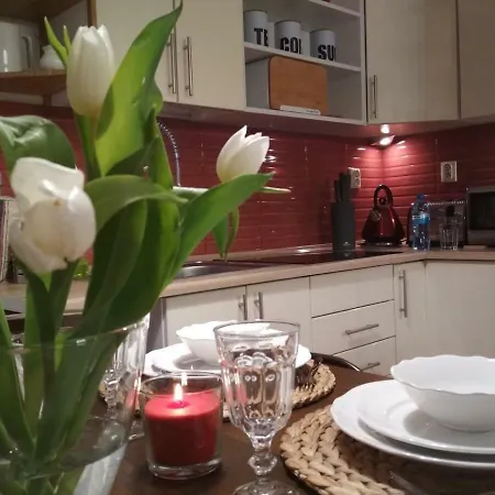 Anielewicza 9 * 华沙